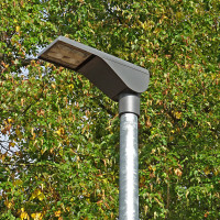 LED-Straßenlaterne vor grünem Baum