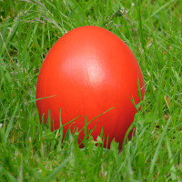 Rotes Osterei im Gras