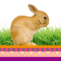 Osterhase vor Gras