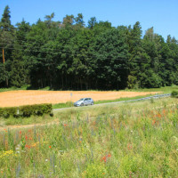 St2409 und Steinbachtal